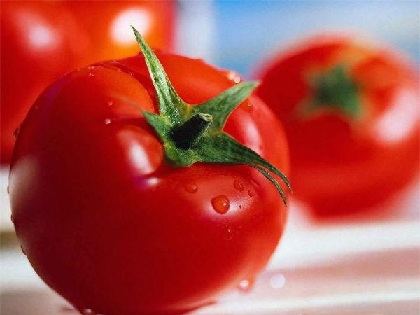 Cà chua có chứa lycopene giúp bảo vệ cơ thể chống lại  ung thư tuyến tiền liệt. Lycopene được cho là loại chất chống oxy hóa có tác dụng chống lại gốc tự do, có thể tiêu diệt các tế bào độc hại và gây bệnh.